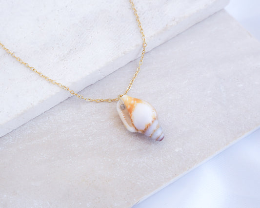 Tiny Light Rustic Dove Shell Gold Necklace displayed on stone back view, Dove Shell Necklace from Portugal, Real Shell Necklace, Sea by Lou