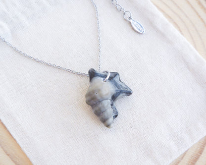 Dark Grey Pelican Foot Shell Necklace on display, Real Grey Shell from Algarve, Portugal, Silver Stainless Steel chain. A silver necklace with a seashell pendant. The pendant is a natural seashell in grey and cream tones, suspended from a fine chain. The necklace is displayed on a light-coloured surface.