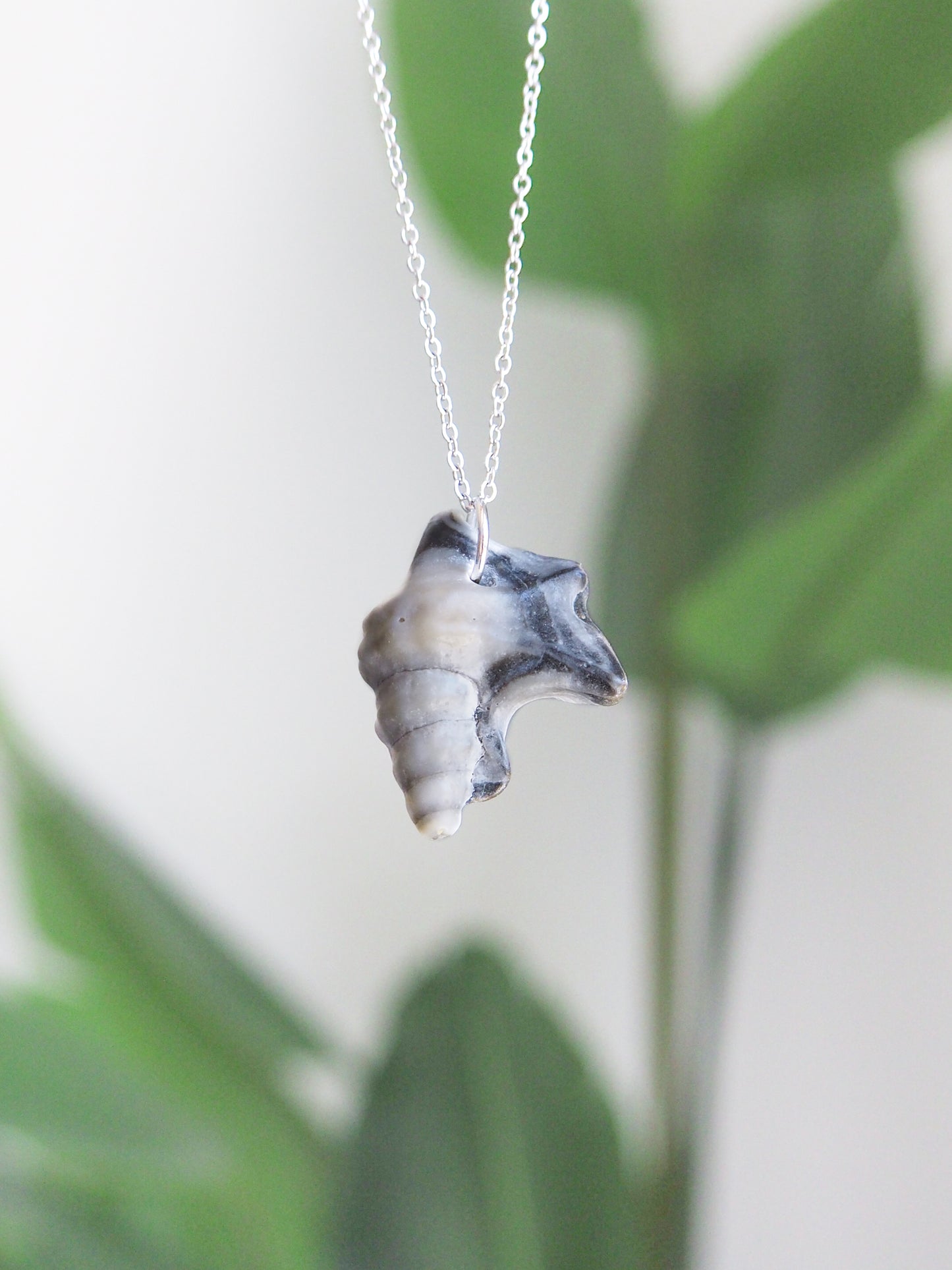 Front view of Dark Grey Pelican Foot Shell Necklace with green plant background, Real Grey Shell from Algarve, Portugal, Silver Stainless Steel chain. 