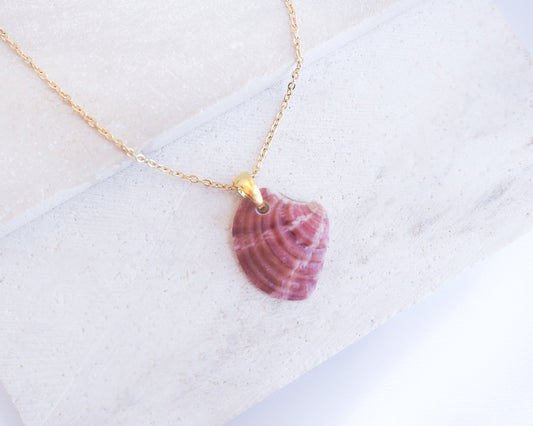 Bordeaux Fuchsia Venus Shell Gold Necklace on stone displayed