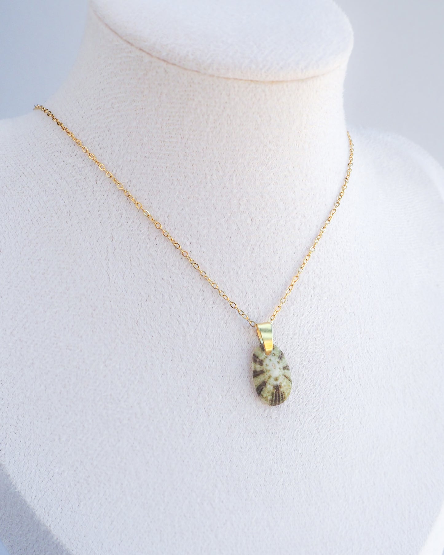 Necklace with a pendant on a mannequin bust against a white background. Displayed Tiny Green Common Keyhole Limpet Shell Gold Necklace