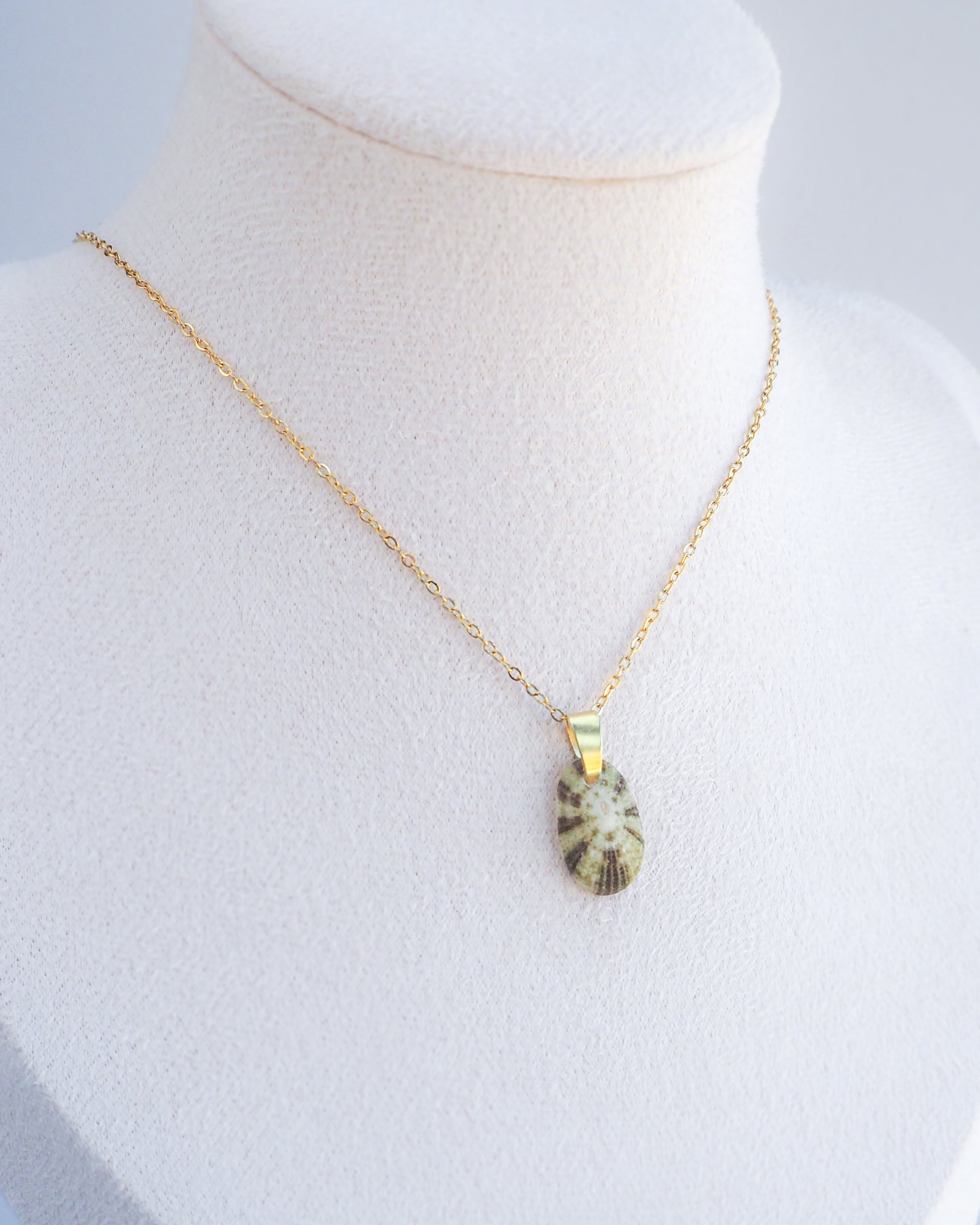 Necklace with a pendant on a mannequin bust against a white background. Displayed Tiny Green Common Keyhole Limpet Shell Gold Necklace
