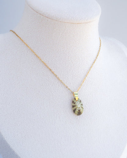 Necklace with a pendant on a mannequin bust against a white background. Displayed Tiny Green Common Keyhole Limpet Shell Gold Necklace