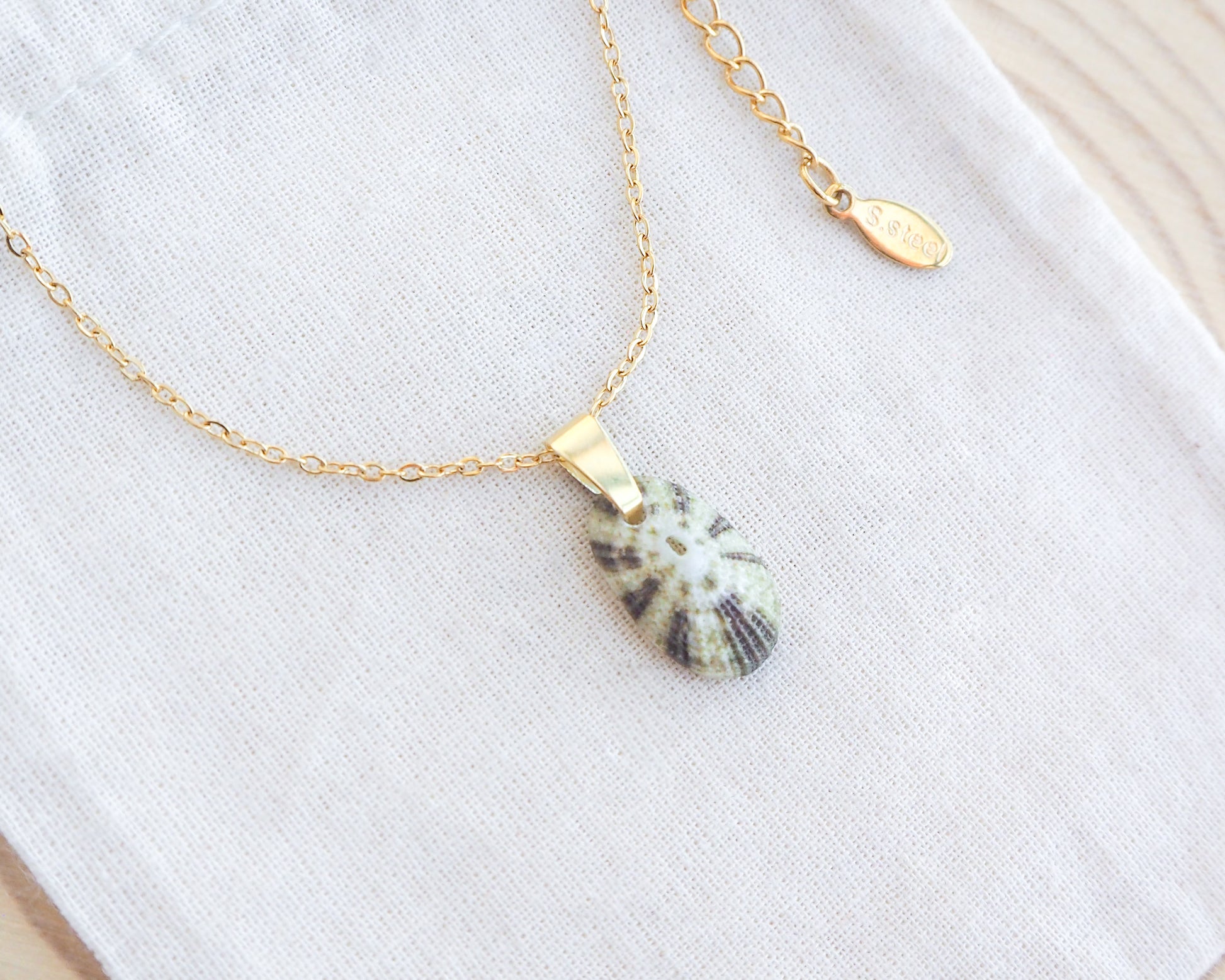 Gold necklace with a shell pendant on a white background. Tiny Green Common Keyhole Limpet Shell Gold Necklace on display, Green Limpet Shell from Portugal