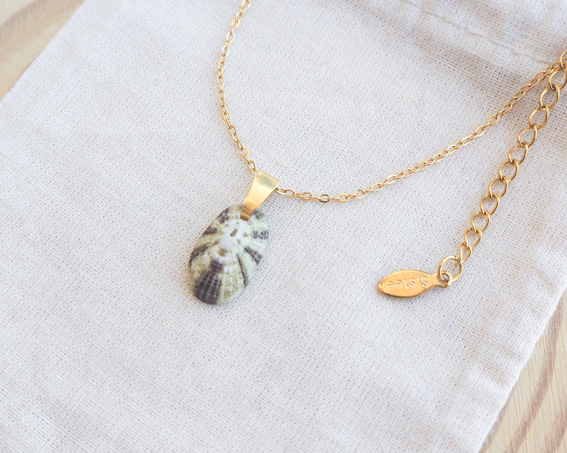 Gold necklace with a shell pendant on a white fabric background. Close up side view of Tiny Green Common Keyhole Limpet Shell Gold Necklace on display 