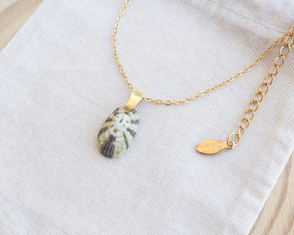 Gold necklace with a shell pendant on a white fabric background. Close up side view of Tiny Green Common Keyhole Limpet Shell Gold Necklace on display 