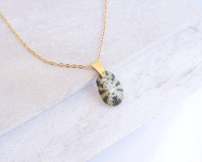 Necklace with a teardrop-shaped green stone pendant on a light background. Close up of Tiny Green Common Keyhole Limpet Shell Gold Necklace displayed on stone