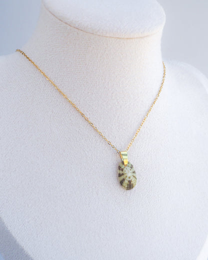 Displayed Tiny Green Common Keyhole Limpet Shell Gold Necklace