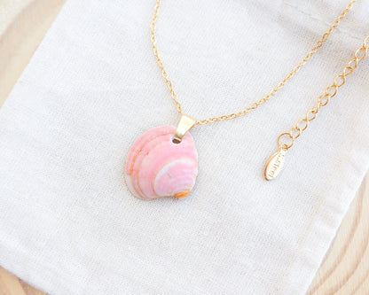 SEASHELL NECKLACE ~ Pink Venus Shell V
