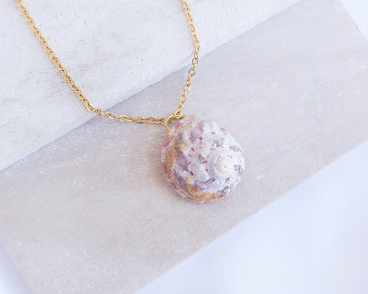Sunny Pink White Orange Magus Top Shell Gold Necklace on stone display side view. A gold chain necklace featuring a pendant. The pendant is an oval seashell with pink, white, and gold tones. The necklace is presented on a white surface.