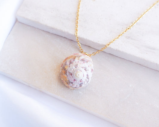 Sunny Pink White Orange Magus Top Shell Gold Necklace on stone display. A gold-coloured chain necklace with a seashell pendant. The pendant is an oval-shaped seashell with a spiral pattern, in shades of pink, white, and orange. The necklace is displayed on a white surface.