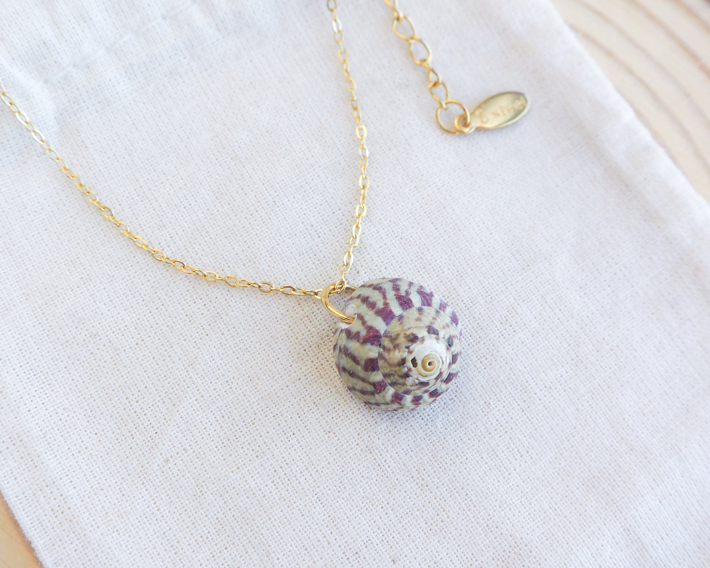 Necklace with a shell pendant on a white surface. Fuchsia Green Striped Top Shell Necklace side view, with gold stainless steel chain. Real shell necklace from Portugal. A gold-coloured chain necklace featuring a pendant made from a small, round seashell. The shell is white with purple stripes. The necklace is displayed on a white cloth.