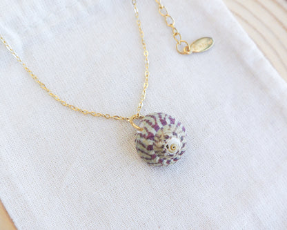 Necklace with a shell pendant on a white surface. Fuchsia Green Striped Top Shell Necklace side view, with gold stainless steel chain. Real shell necklace from Portugal. A gold-coloured chain necklace featuring a pendant made from a small, round seashell. The shell is white with purple stripes. The necklace is displayed on a white cloth.
