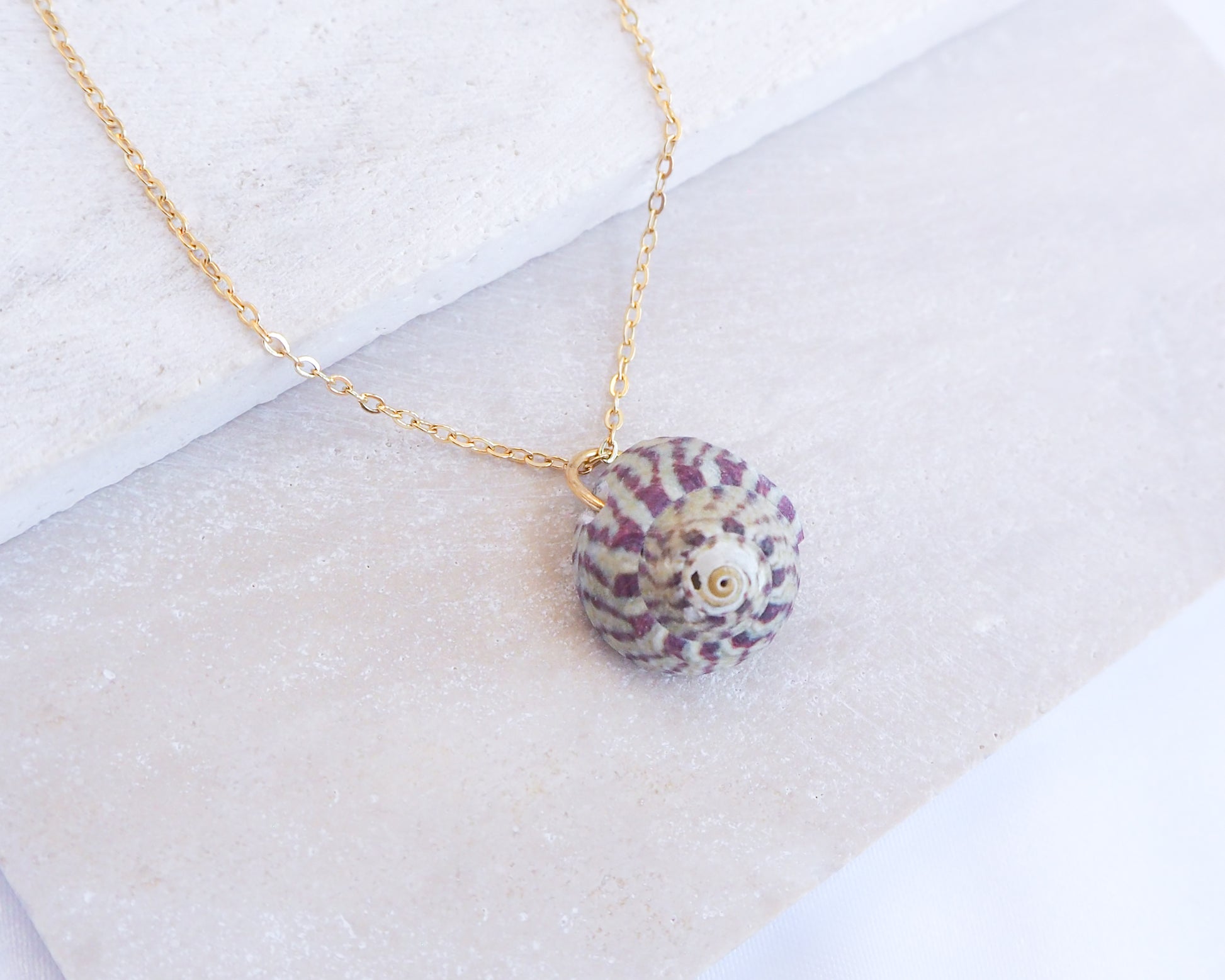 Necklace with a shell pendant on a white background. A gold chain necklace featuring a pendant made from a small, spiral seashell. The shell is white with purple and brown markings. The necklace is presented on a white surface. Fuchsia Green Striped Top Shell Necklace on stone display side view, with gold stainless steel chain. Real shell necklace from Portugal.