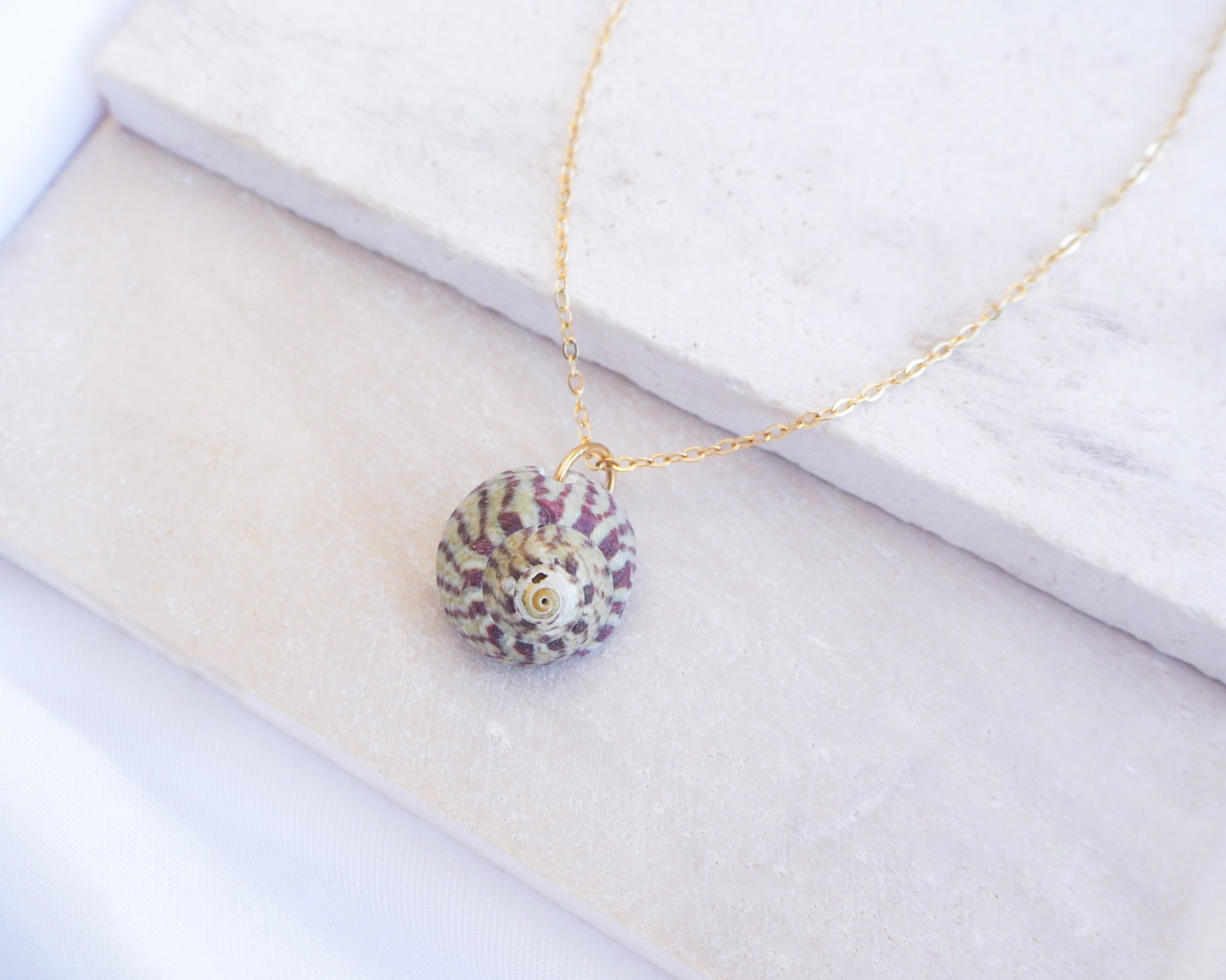 Necklace with a round pendant on a white surface. Fuchsia Green Striped Top Shell Necklace on stone display, with gold stainless steel chain. Real shell necklace from Portugal.