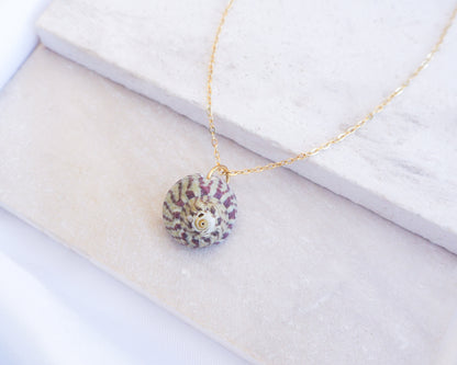 Necklace with a round pendant on a white surface. Fuchsia Green Striped Top Shell Necklace on stone display, with gold stainless steel chain. Real shell necklace from Portugal.