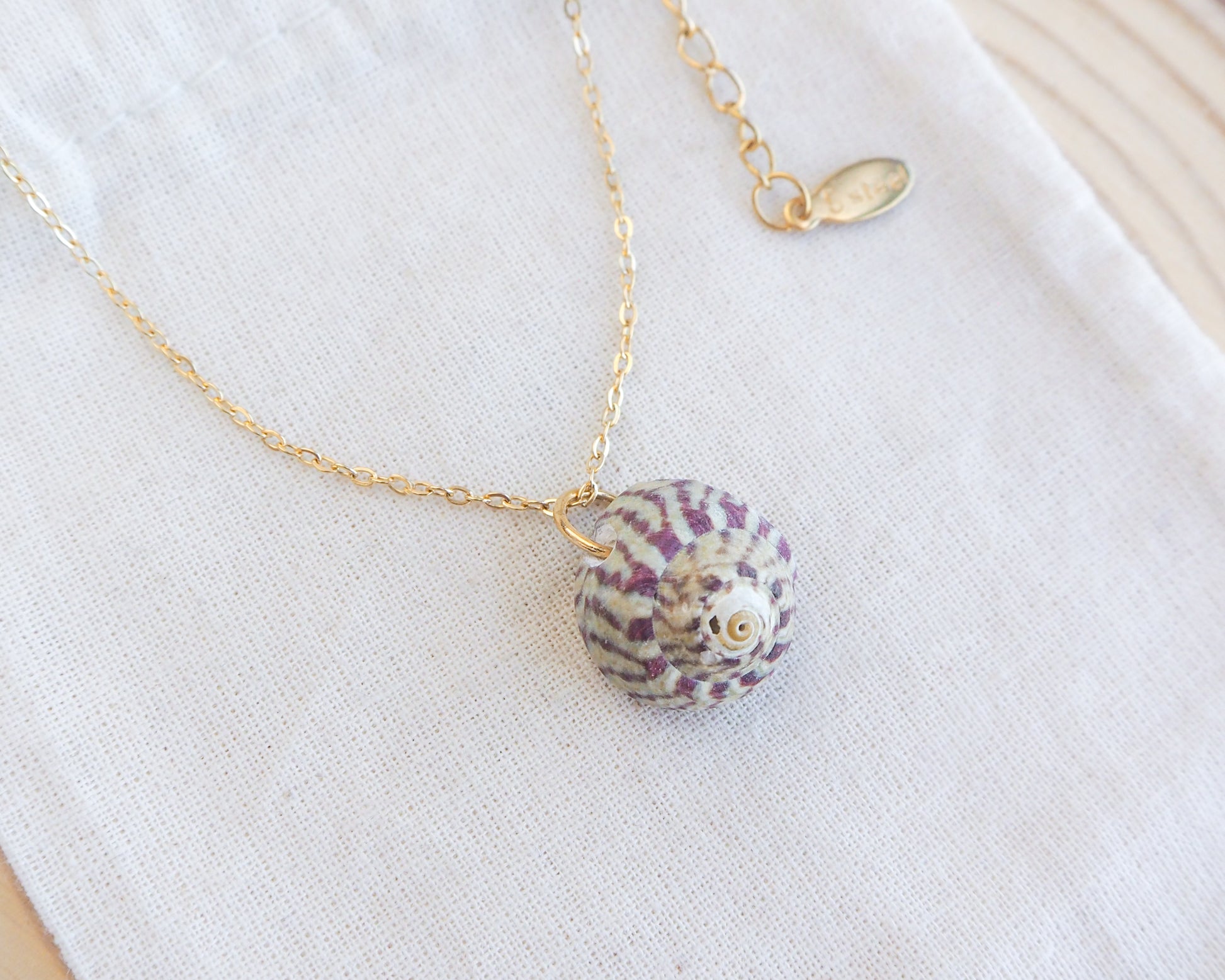 Fuchsia Green Striped Top Shell Necklace side view, with gold stainless steel chain. Real shell necklace from Portugal.