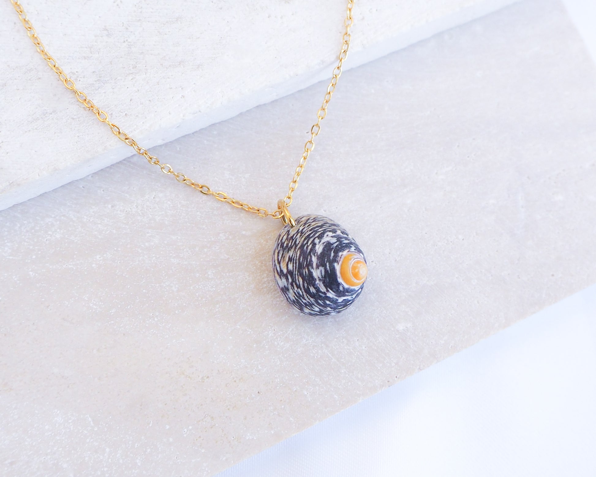 Necklace with a shell pendant on a white fabric background. Gold Lined Top Shell Necklace, Shell from Portugal side view