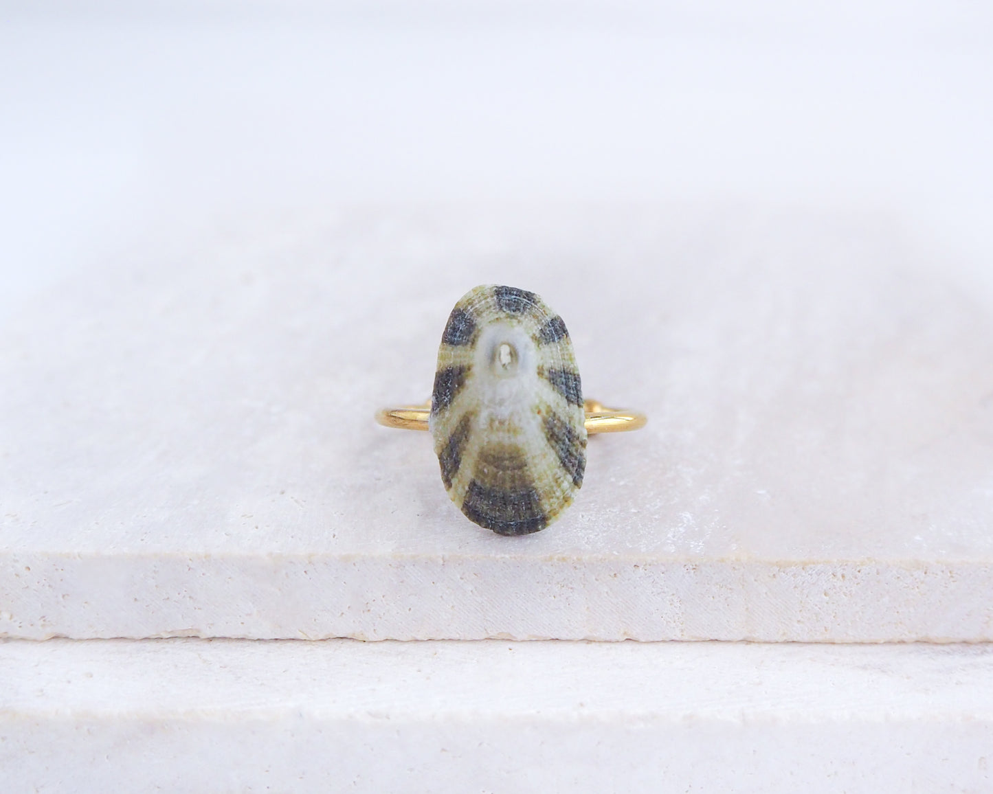 Green Limpet Shell Ring on display, Common Keyhole Limpet Shell Ring from Portugal. Ring with a shell-shaped stone on a white background