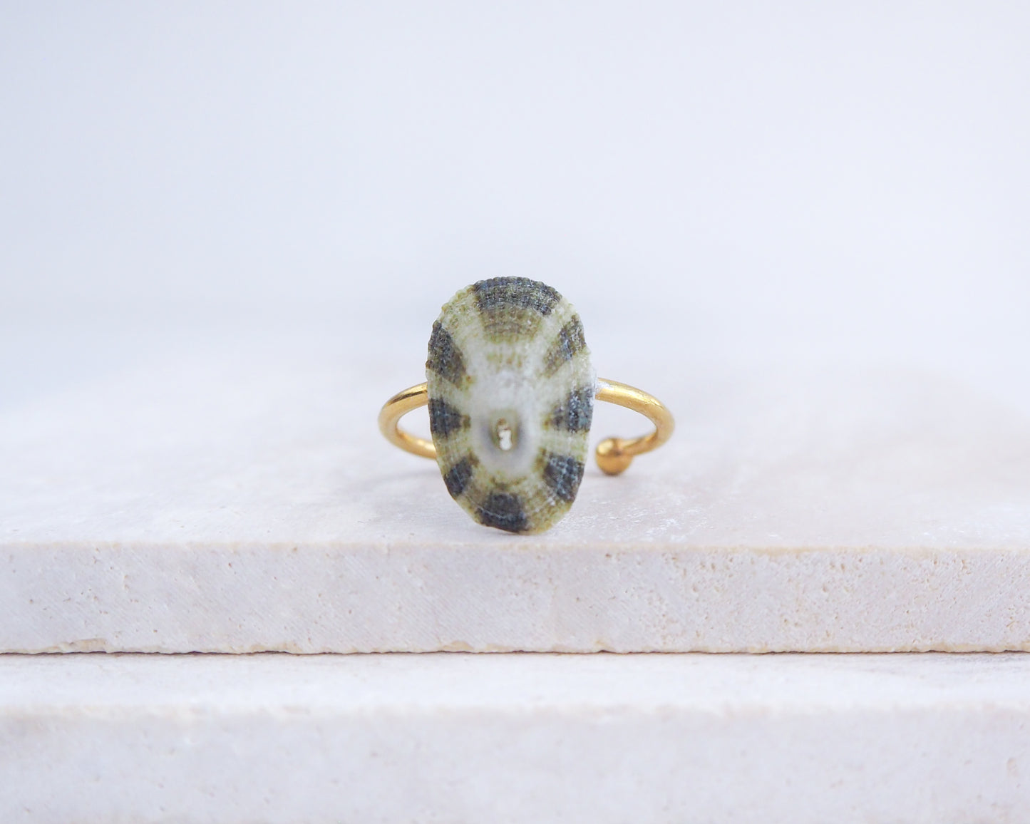 Gold ring with a stone on a white surface. Gold Common Keyhole Limpet Shell Ring on display, Green Limpet Shell from Portugal