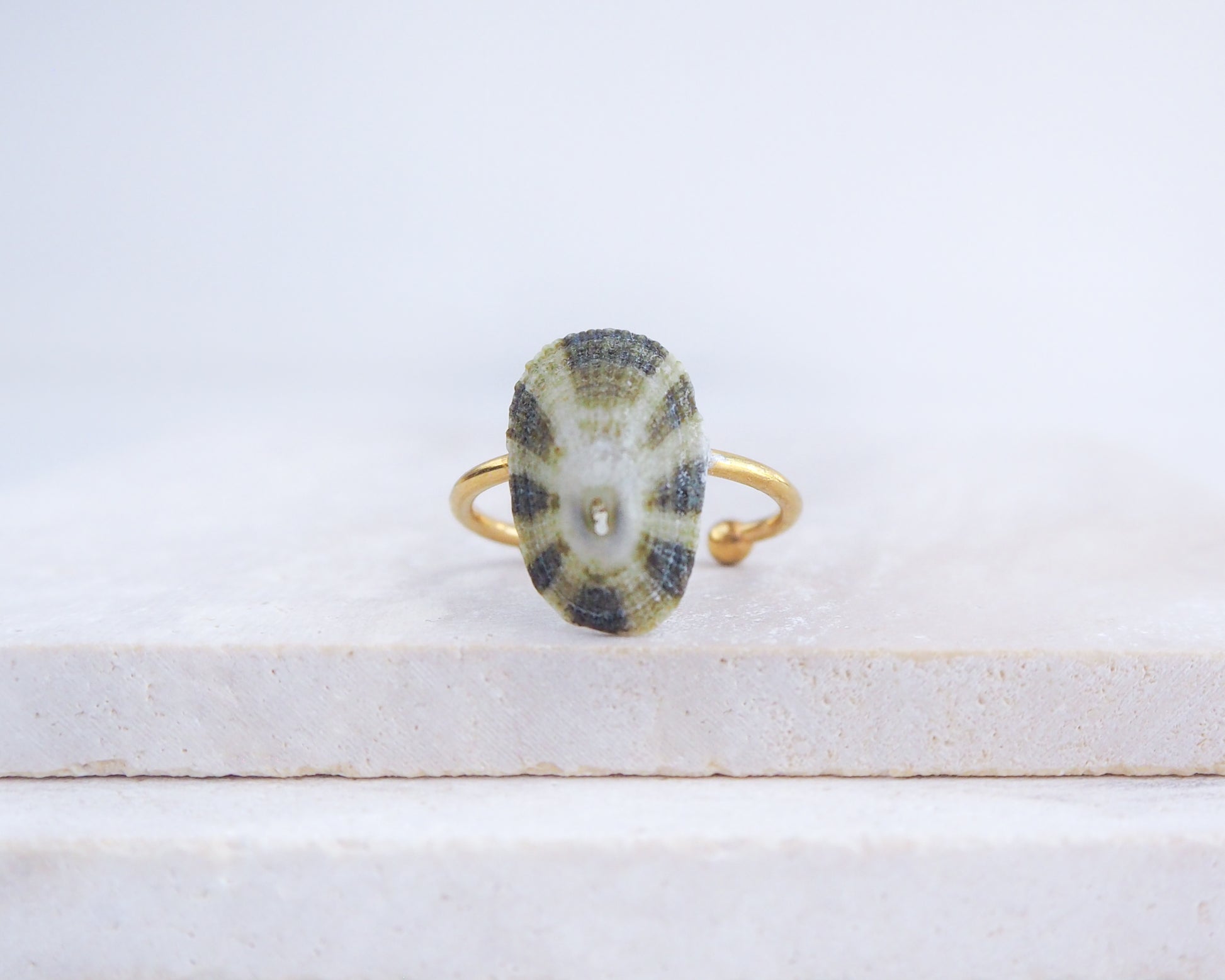 Gold ring with a stone on a white surface. Gold Common Keyhole Limpet Shell Ring on display, Green Limpet Shell from Portugal