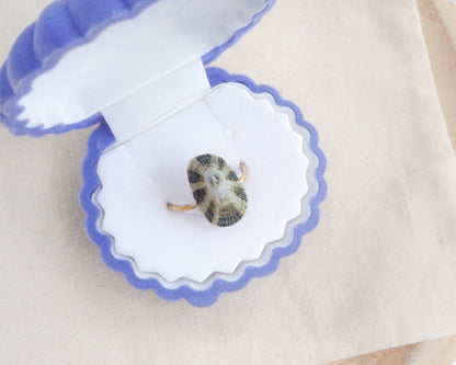Small figurine of a dog inside an open jewelry box with a white interior. Green Common Keyhole Limpet Shell Ring in box
