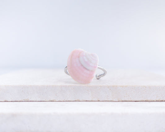 Pink shell ring on a white surface with a light pink background. Soft Pink Venus Shell Silver Ring III on display, Pink Venus Shell from Portugal front view