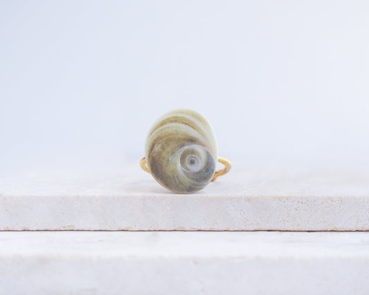 Shell-shaped ring on a white surface. Olive Green Eye of Saint Lucia Shell Gold Ring displayed on stone front view