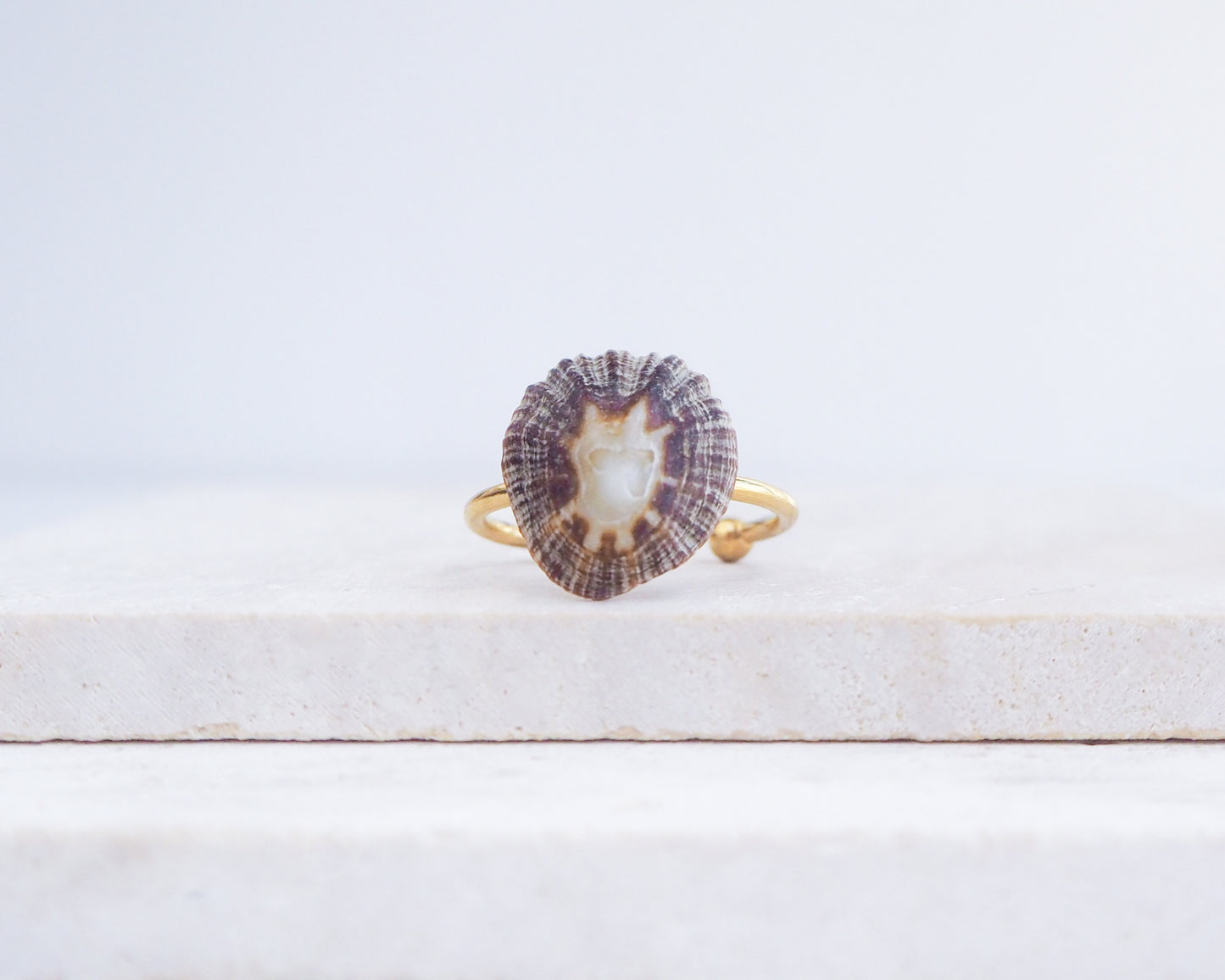 Ring with a shell-like design on a light wooden surface. Dark Striped Limpet Shell Gold Ring II displayed on stone front view