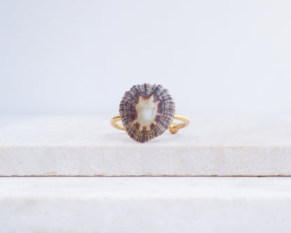 Ring with a shell-like design on a light wooden surface. Dark Striped Limpet Shell Gold Ring II displayed on stone front view