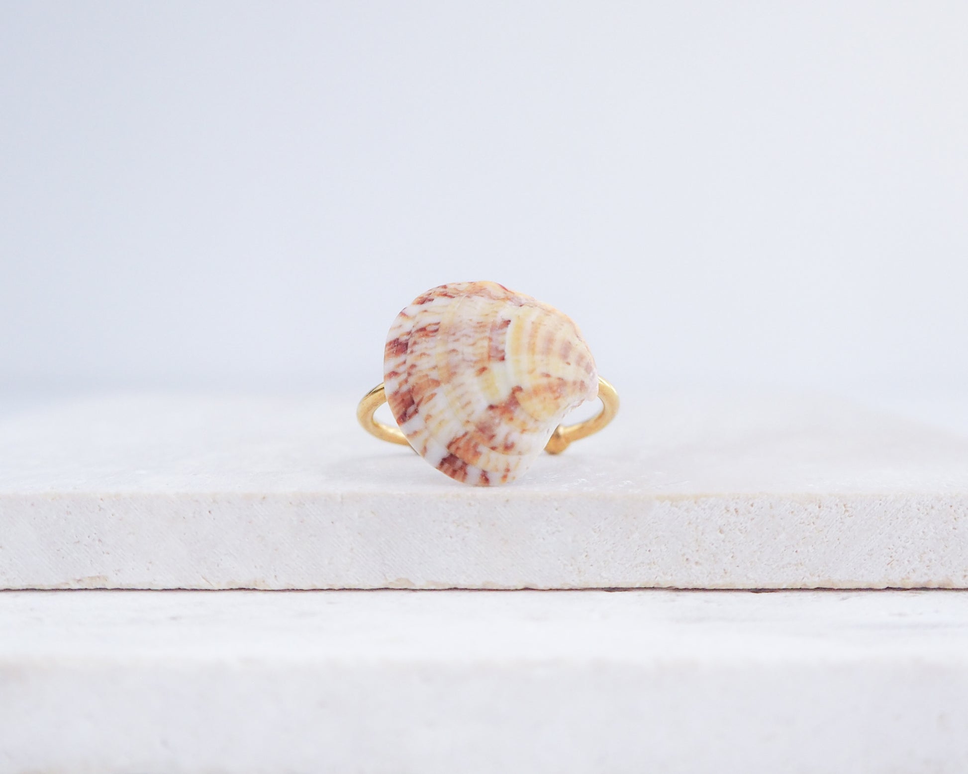Shell-shaped ring on a white wooden surface with a light gray background. Coral Venus Shell Gold Ring from Portugal displayed on stone, patterned colorful pink orange red shell ring