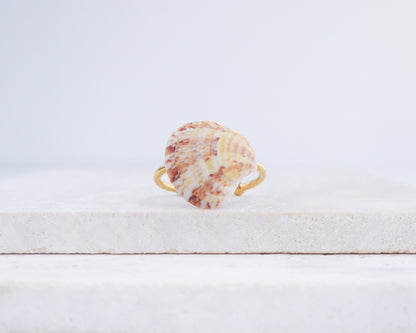 Shell-shaped ring on a white wooden surface with a light gray background. Coral Venus Shell Gold Ring from Portugal displayed on stone, patterned colorful pink orange red shell ring