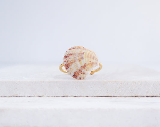 Shell-shaped ring on a white wooden surface with a light gray background. Coral Venus Shell Gold Ring from Portugal displayed on stone, patterned colorful pink orange red shell ring