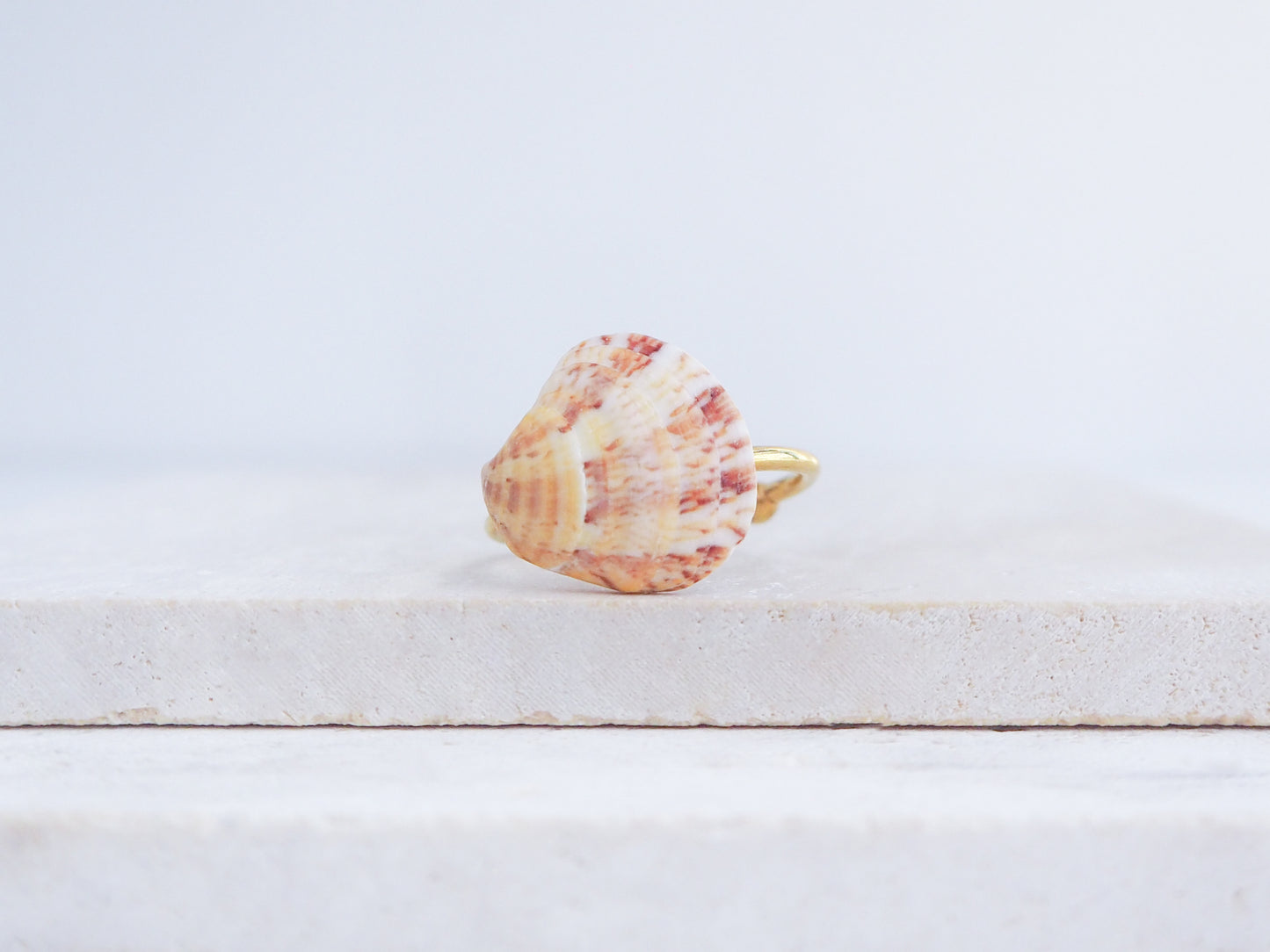 Shell-shaped ring on a light wooden surface with a white background. Coral Red Venus Shell Gold Ring from Portugal displayed on stone front view, patterned colorful pink orange red shell ring