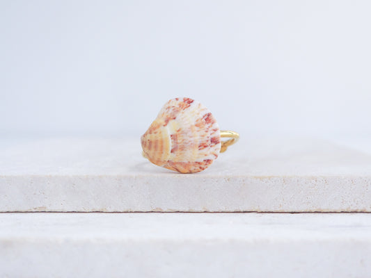 Shell-shaped ring on a light wooden surface with a white background. Coral Red Venus Shell Gold Ring from Portugal displayed on stone front view, patterned colorful pink orange red shell ring
