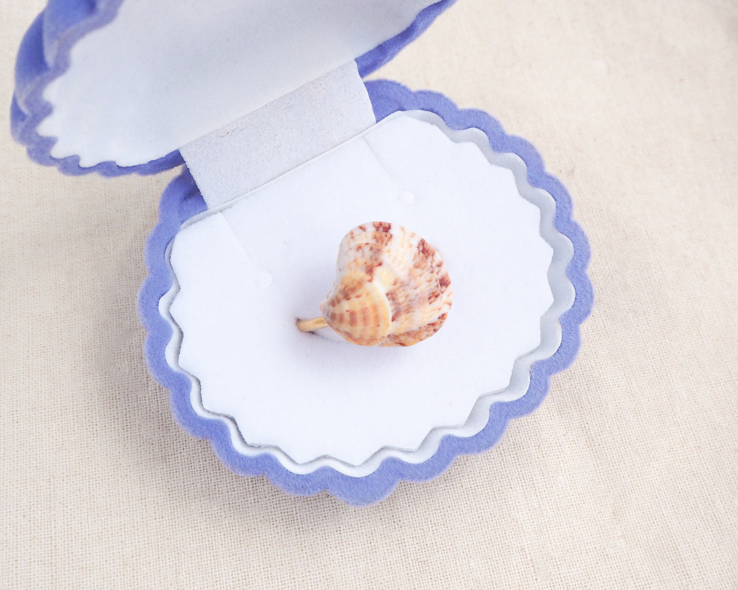 Coral Venus Shell Gold Ring from Portugal in blue seashell jewelry box, patterned colorful pink orange red shell ring