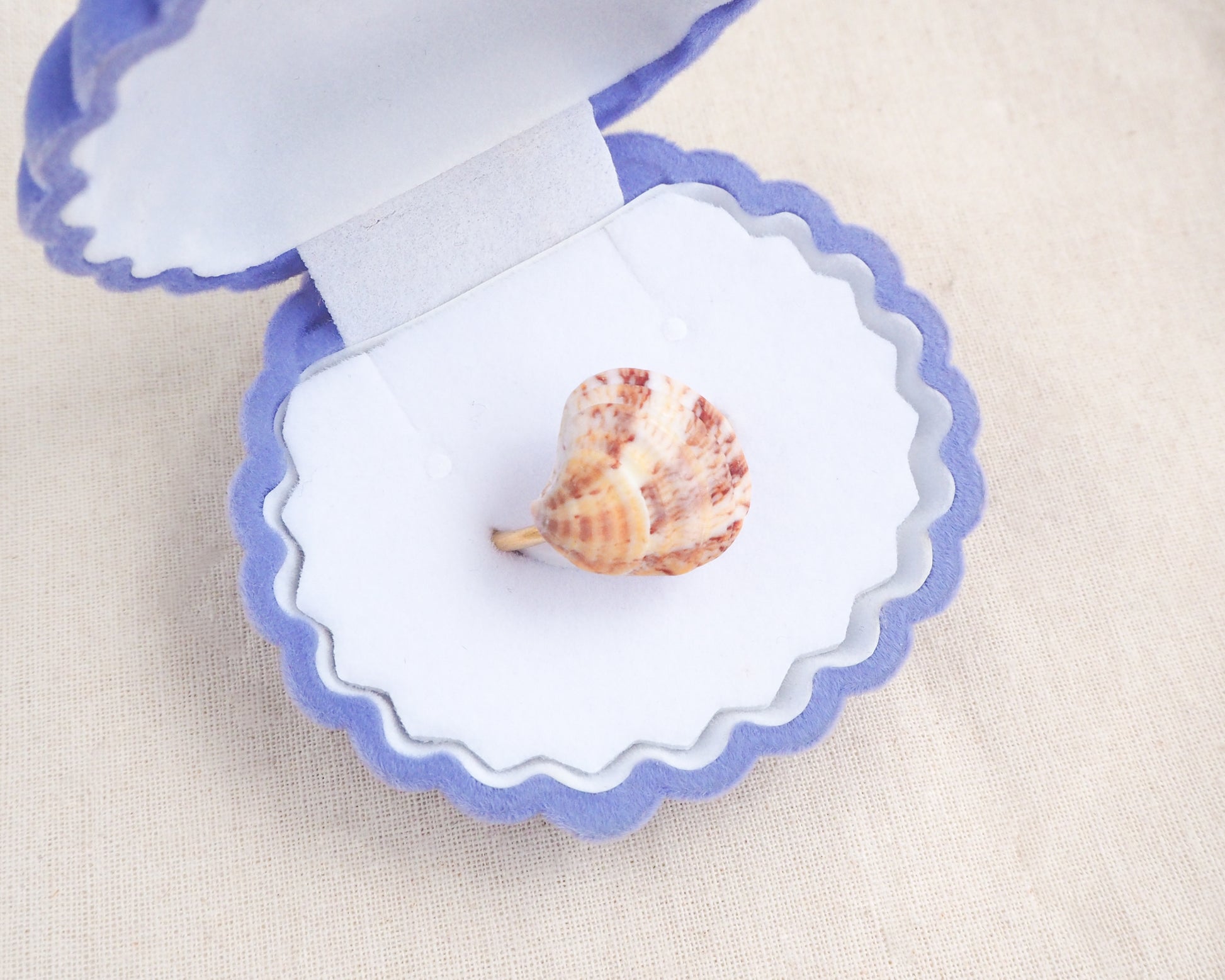 Coral Venus Shell Gold Ring from Portugal in blue seashell jewelry box, patterned colorful pink orange red shell ring