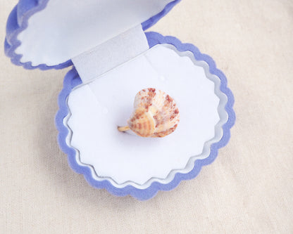 Coral Venus Shell Gold Ring from Portugal in blue seashell jewelry box, patterned colorful pink orange red shell ring