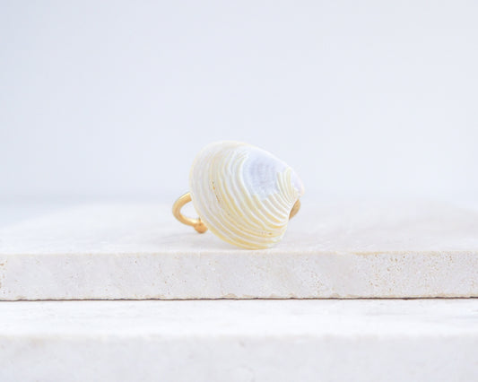 Light Venus Shell Gold Ring from Portugal displayed on stone front view