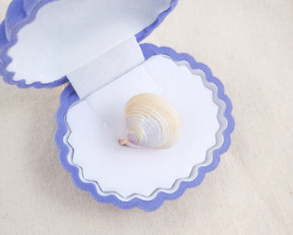 Seashell with a small shell inside on a scalloped edge white card against a beige background. Light Venus Shell Gold Ring from Portugal in blue seashell jewelry box