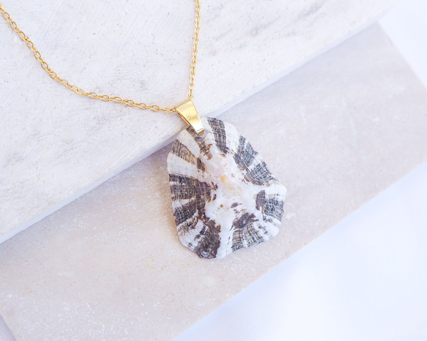 Necklace with a unique pendant on a light background. Zebra Limpet Shell Necklace on stone displayed with gold chain necklace 