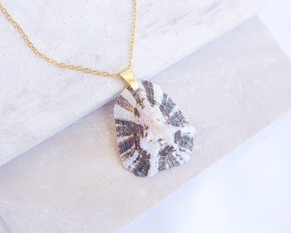 Necklace with a unique pendant on a light background. Zebra Limpet Shell Necklace on stone displayed with gold chain necklace 