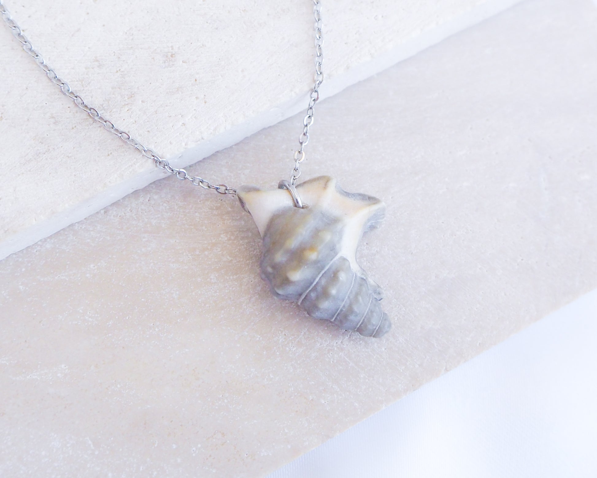 Grey Pelican Foot Shell Necklace, Real Grey Shell from Algarve, Portugal, Silver Stainless Steel chain. A silver necklace with a seashell pendant. The pendant is a natural seashell in grey and cream tones, suspended from a fine chain. The necklace is displayed on a light-coloured surface.