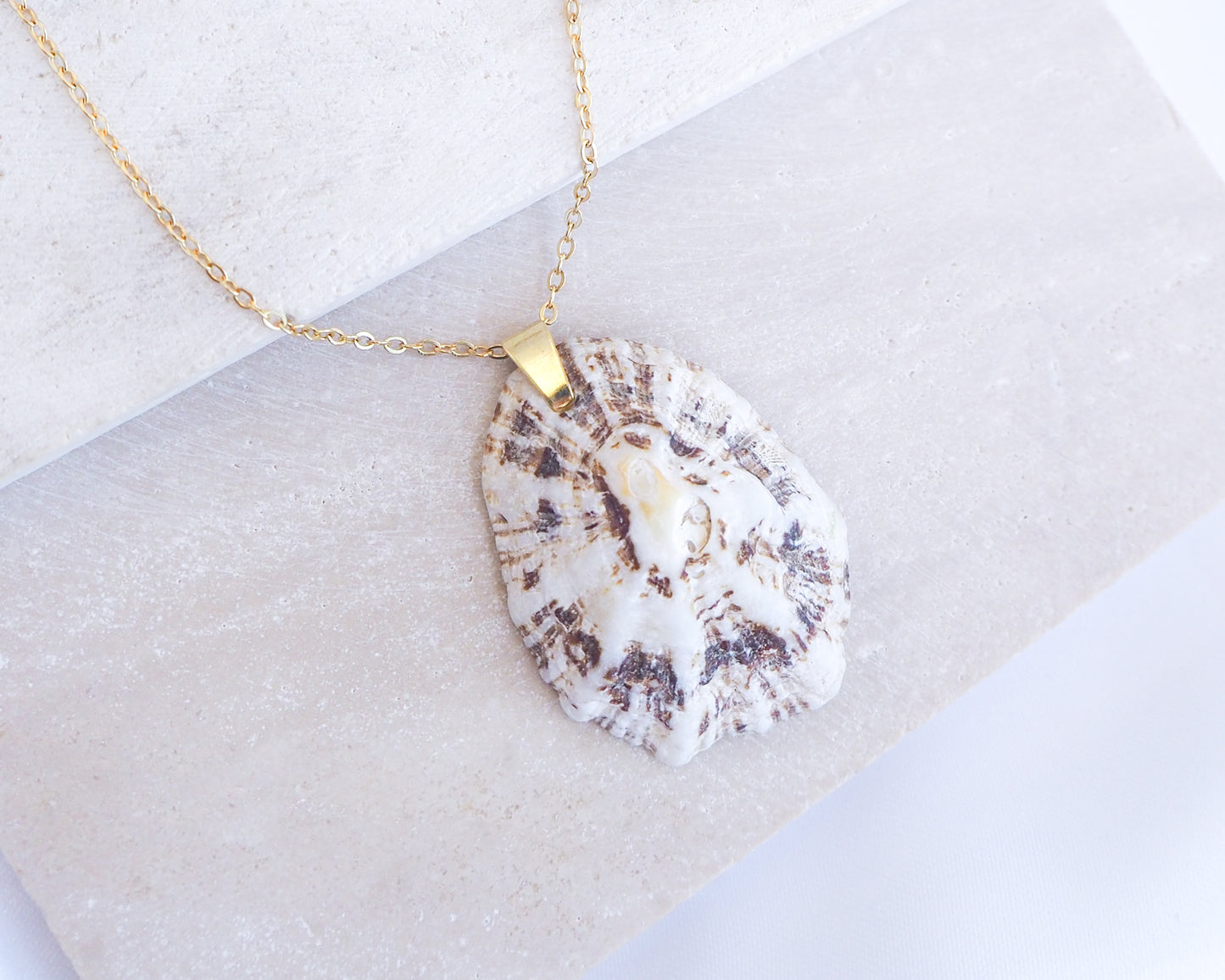 Shell pendant necklace on a light background. Close up White Brown Mediterranean Limpet Shell Gold Necklace on stone 