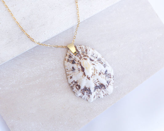 Shell pendant necklace on a light background. Close up White Brown Mediterranean Limpet Shell Gold Necklace on stone 