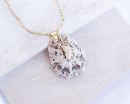 Necklace with a large, textured pendant on a light background. White Brown Mediterranean Limpet Shell Gold Necklace displayed on stone close up, Limpet Shell from Portugal 