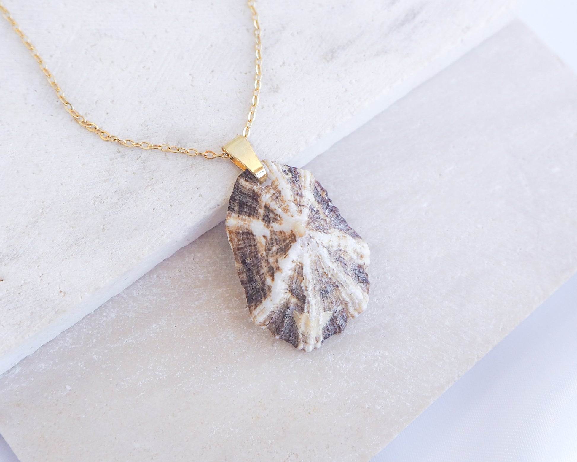 Necklace with a shell pendant on a light background. Striped Brown Mediterranean Limpet Shell Gold Necklace displayed on stone close up, Limpet Shell from Portugal 