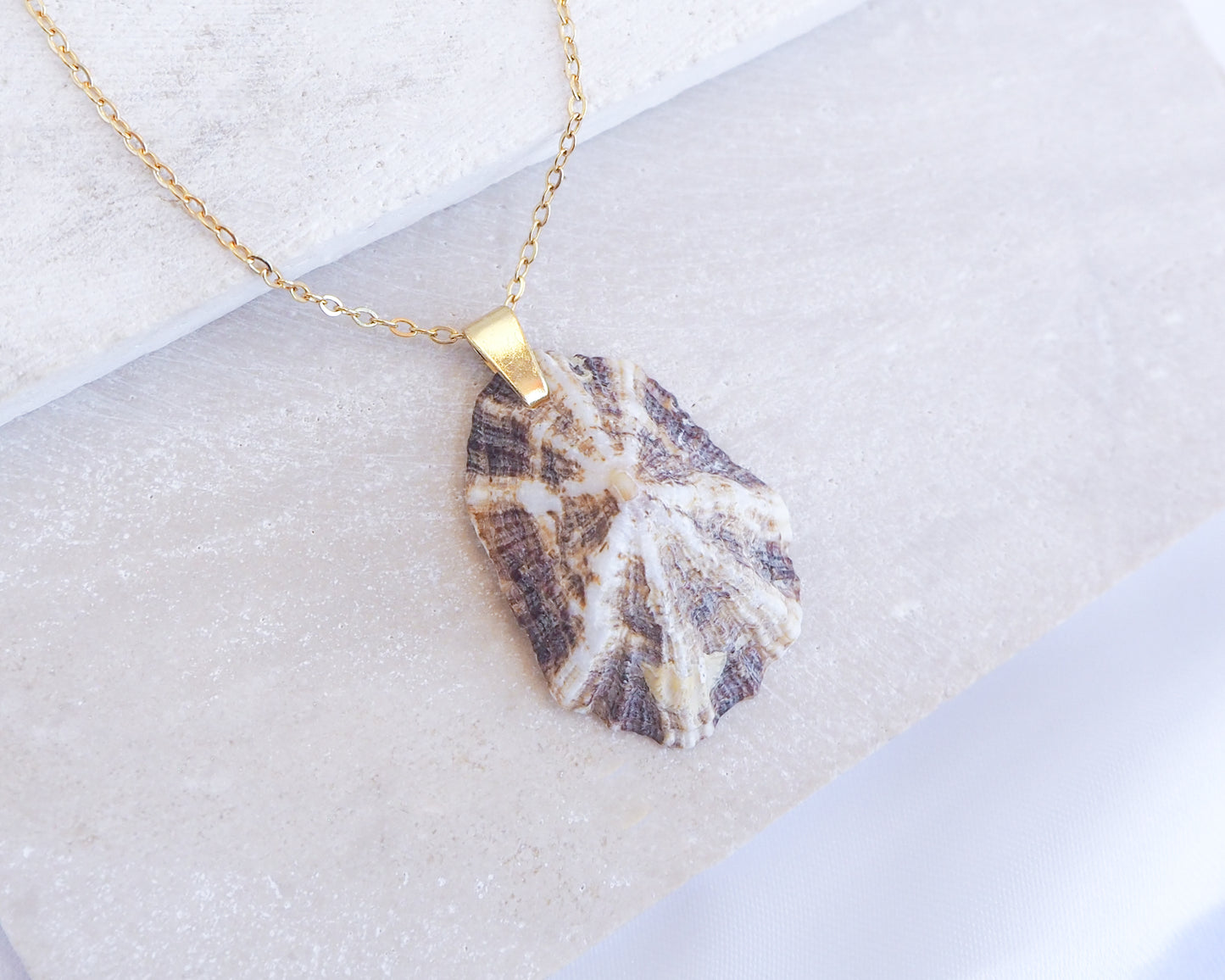 Necklace with a shell pendant on a light gray background. Close up of Striped Brown Mediterranean Limpet Shell Necklace displayed on stone close up, Limpet Shell from Portugal 