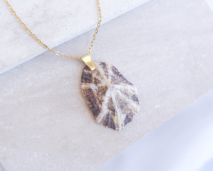 Necklace with a shell pendant on a light gray background. Close up of Striped Brown Mediterranean Limpet Shell Necklace displayed on stone close up, Limpet Shell from Portugal 