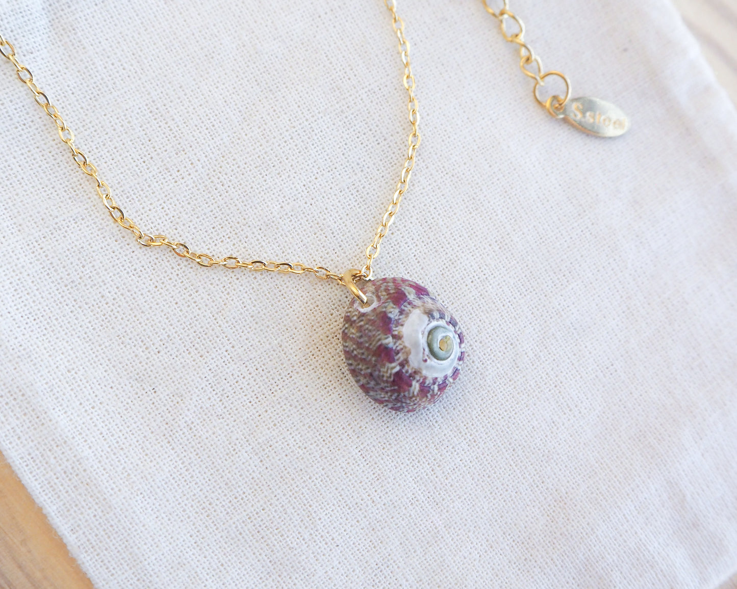 Necklace with a small shell pendant on a white background. Gold Bordeaux Green Patterned Flat Top Shell Necklace on display close up, Flat Topshell from Portugal